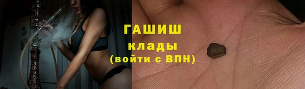 хмурый Алексин