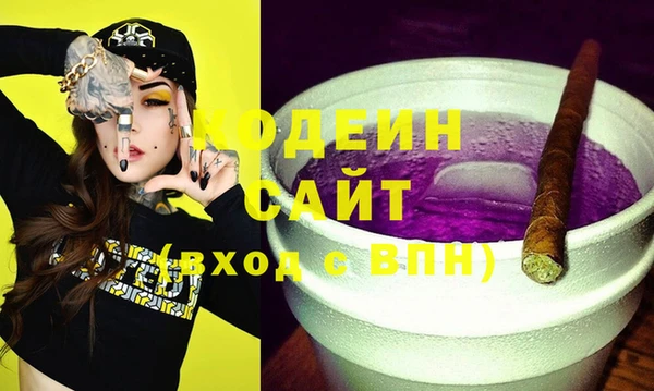 хмурый Алексин