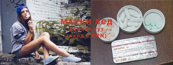 хмурый Алексин
