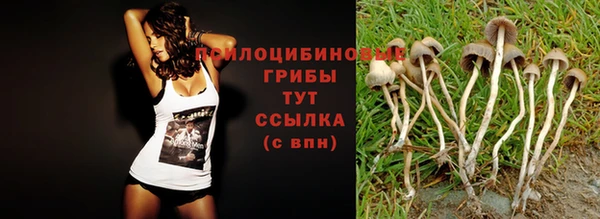 спайс Алексеевка
