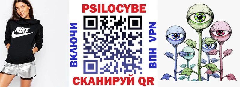 Псилоцибиновые грибы Magic Shrooms  купить   мега ссылка  Тутаев 