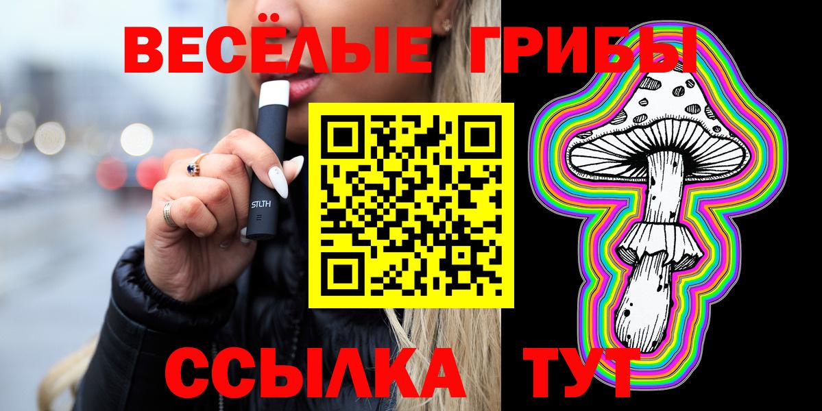 Тутаев  дарнет шоп  Вход с VPN  Псилоцибиновые грибы GOLDEN TEACHER 